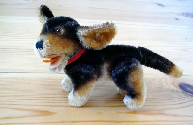 Steiff - Hund - 50er Jahre - Spielzeug Sammlungen - Berlin