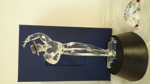Swarovski SCS Jahresausgabe  - Sonstige Sammlungen - Dornbirn