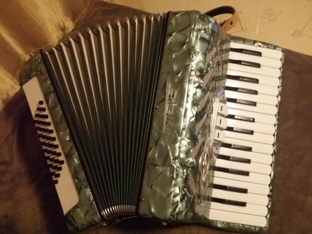 PIGINI Akkordeon Wer kennt sich aus...  - Sonstige Antiquitaeten - Stuttgart