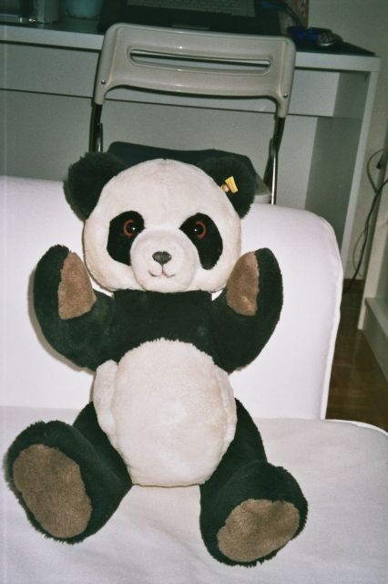 STEIFF-BÄR PANDA - Spielzeug Sammlungen - Köln/NRW