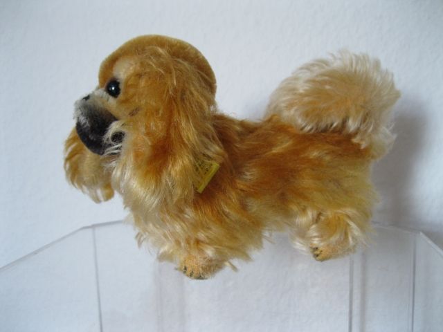 Steiff Pekinese 50er Jahre  - Spielzeug Sammlungen - Dinkelscherben