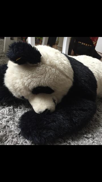 Pandabär , liegend, Original Steiff - Sonstige Sammlungen - Unterschleißheim 