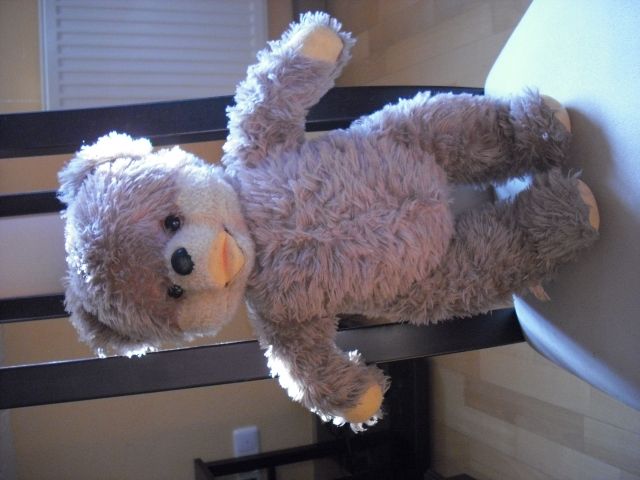 Schuco Teddybär - Spielzeug Sammlungen -   Ebensfeld