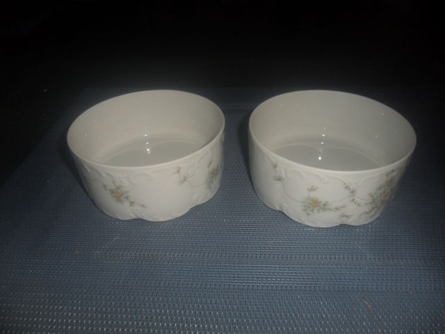 Rosenthal Monbijou Grüne Ranke   2 Servierschüsseln  - Glas Porzellan Antiquarisch - nk