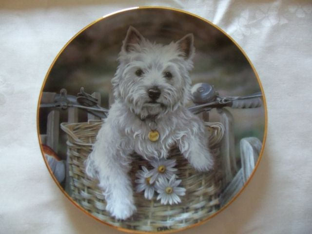 Deutsches SammlerFactum Der kleine Tramp aus der Serie Westies - Glas Porzellan Antiquarisch - Schömberg